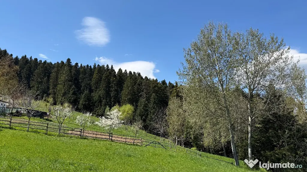 De vanzare teren in zona de munte 2100 mp - Putna (Suceava)
