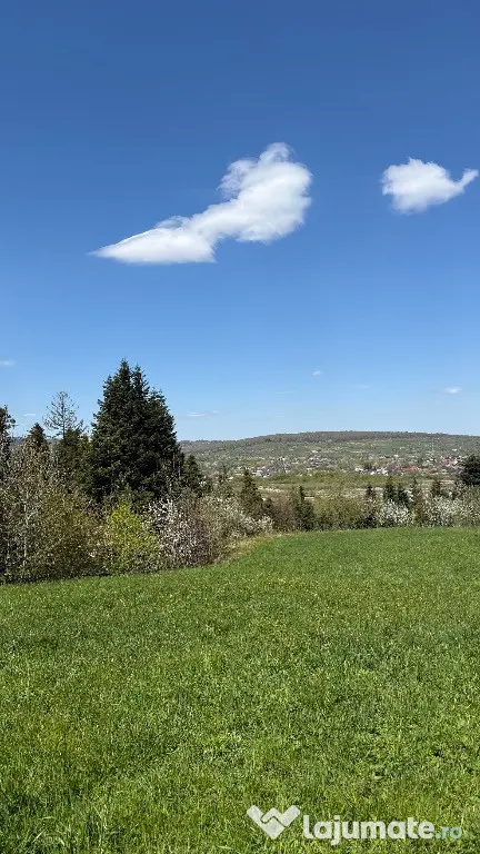 De vanzare teren in zona de munte 2100 mp - Putna (Suceava)