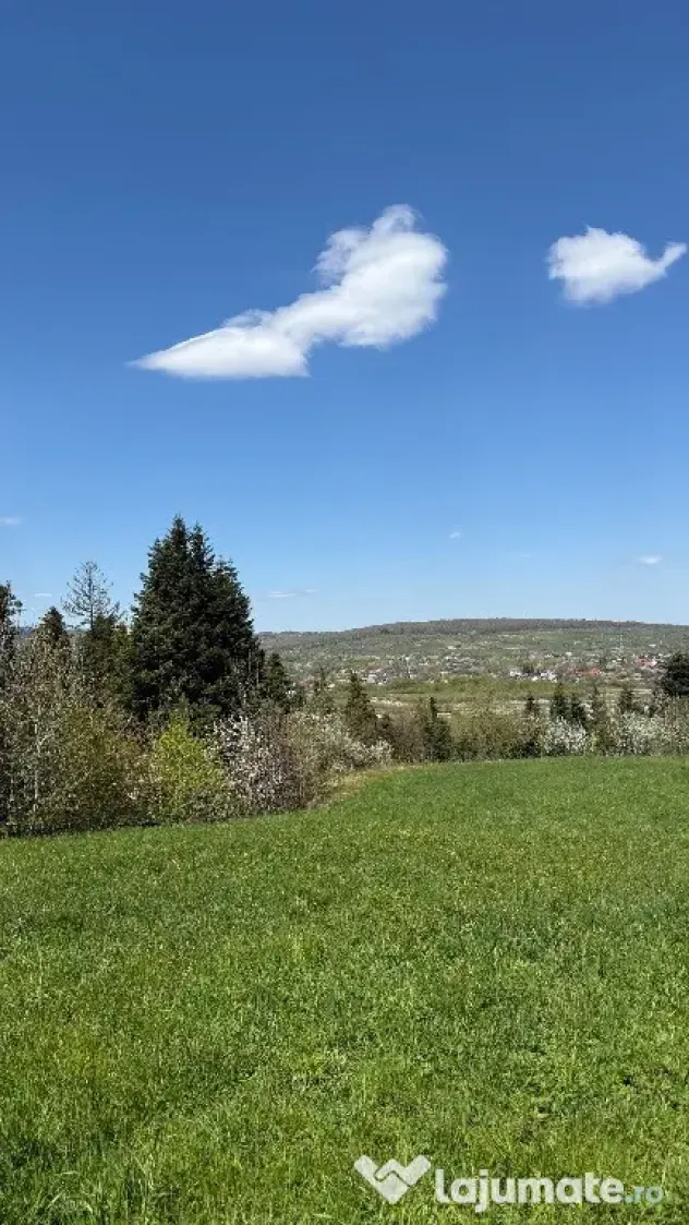 De vanzare teren in zona de munte 2100 mp - Putna (Suceava)