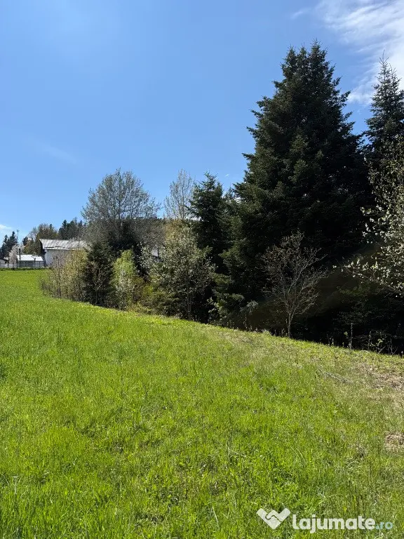 De vanzare teren in zona de munte 2100 mp - Putna (Suceava)