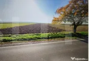 Teren 20.300 mp la DN, Brăiești | Potențial investițion