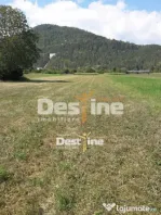 Teren de vanzare Pangarati 58.000 Euro 4488mp Intravilan