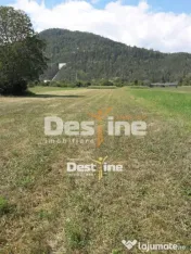 Teren de vanzare Pangarati 58.000 Euro 4488mp Intravilan