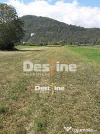 Teren de vanzare Pangarati 58.000 Euro 4488mp Intravilan 
