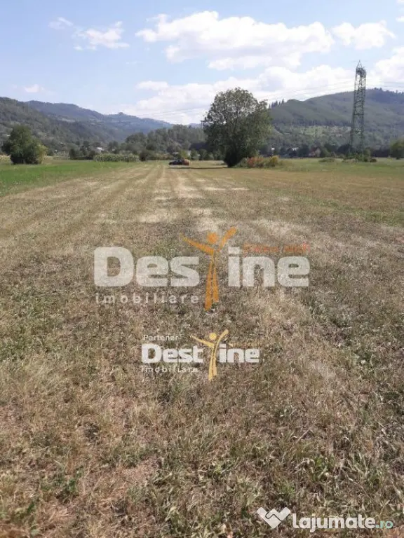 Teren de vanzare Pangarati 58.000 Euro 4488mp Intravilan - Pangarati (Neamt)