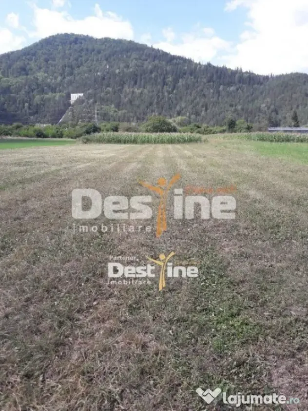 Teren de vanzare Pangarati 58.000 Euro 4488mp Intravilan - Pangarati (Neamt)