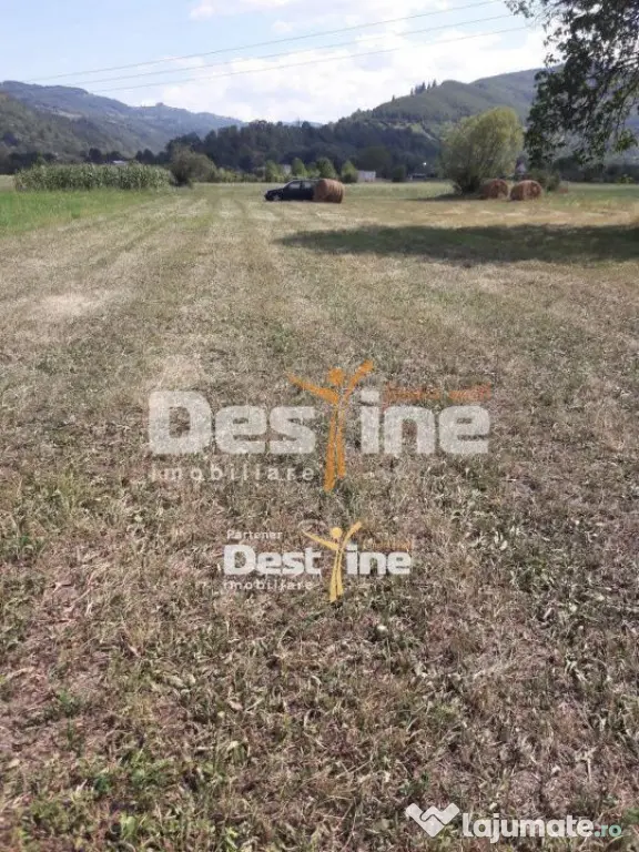 Teren de vanzare Pangarati 58.000 Euro 4488mp Intravilan - Pangarati (Neamt)