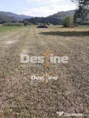 Teren de vanzare Pangarati 58.000 Euro 4488mp Intravilan