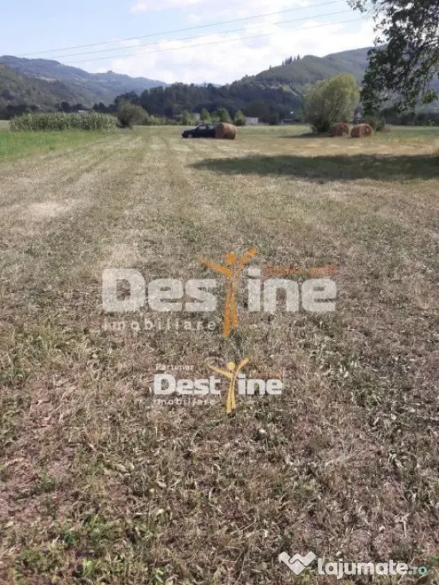 Teren de vanzare Pangarati 58.000 Euro 4488mp Intravilan - Pangarati (Neamt)
