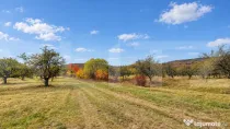 Teren extravilan, 1100 mp, zona Vest - Zălan