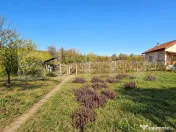 Casă cu teren, 3800 mp, Bălănești 