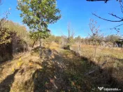 Casă cu teren, 3800 mp, Bălănești 