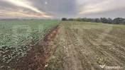 OPORTUNITATE DE INVESTIȚIE – COMPLEX DE PESTE 4,2 HA CU I 