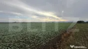 OPORTUNITATE DE INVESTIȚIE – COMPLEX DE PESTE 4,2 HA CU I 