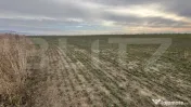 OPORTUNITATE DE INVESTIȚIE – COMPLEX DE PESTE 4,2 HA CU I 