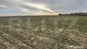 OPORTUNITATE DE INVESTIȚIE – COMPLEX DE PESTE 4,2 HA CU I 