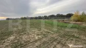 OPORTUNITATE DE INVESTIȚIE – COMPLEX DE PESTE 4,2 HA CU I 
