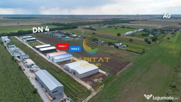 Hale 550 mp în Frumușani | Vânzare sau închiriere | 2 unități - Frumusani (Calarasi)