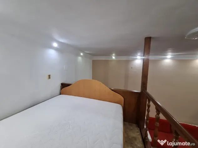 Ultracentral - Apartament cu 1 camera in cladire istorica - - Timisoara (Timis)