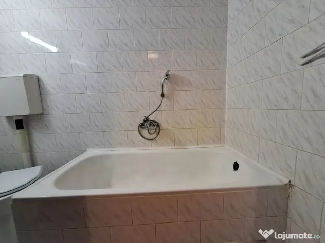 Ultracentral - Apartament cu 1 camera in cladire istorica - - Timisoara (Timis)