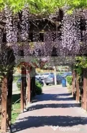 De inchiriat garsoniera langa ITM, parter/9, 280 euro