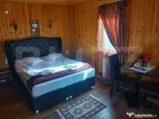 Vila cu 9 camere 