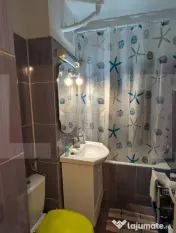 Apartament 2 camere, 46 mp, Lapus, Electroputere Mall 