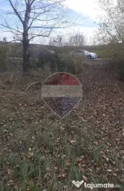 Teren intravilan - 39 de ari în Ipotești 