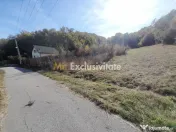 TEREN DE VANZARE IN BABANA, ARGES, LANGA PADURE