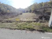 TEREN DE VANZARE IN BABANA, ARGES, LANGA PADURE