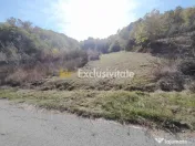 TEREN DE VANZARE IN BABANA, ARGES, LANGA PADURE