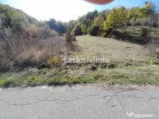 TEREN DE VANZARE IN BABANA, ARGES, LANGA PADURE