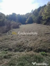 TEREN DE VANZARE IN BABANA, ARGES, LANGA PADURE