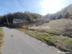 TEREN DE VANZARE IN BABANA, ARGES, LANGA PADURE