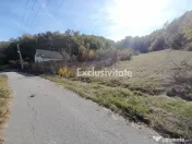 TEREN DE VANZARE IN BABANA, ARGES, LANGA PADURE