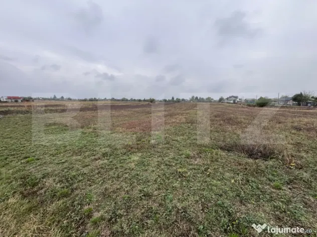 Terenuri intravilane de vânzare în Cazaci – oportunitate - Cazaci (Dambovita)
