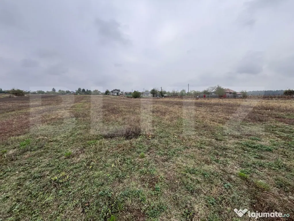 Terenuri intravilane de vânzare în Cazaci – oportunitate - Cazaci (Dambovita)