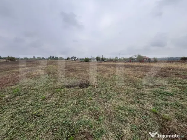 Terenuri intravilane de vânzare în Cazaci – oportunitate - Cazaci (Dambovita)
