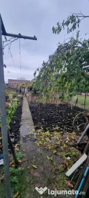 Casa 3 camere,curte si gradina