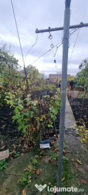 Casa 3 camere,curte si gradina
