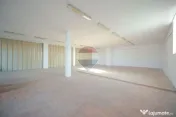 De vânzare hală în Salonta, Bihor – 479 mp utili, acces auto și tir
