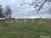 Doua unitati locative cu teren de 4300mp intravilan Jucu de 