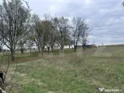 Doua unitati locative cu teren de 4300mp intravilan Jucu de 
