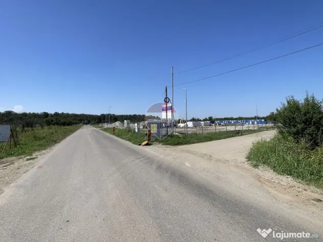 Teren Sabareni, Giurgiu, strada Stejarului, aproape de padure - Sabareni (Giurgiu)
