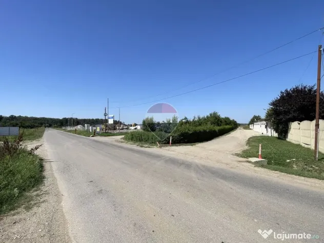 Teren Sabareni, Giurgiu, strada Stejarului, aproape de padure - Sabareni (Giurgiu)