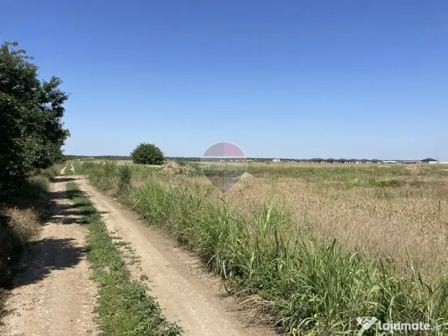Teren Sabareni, Giurgiu, strada Stejarului, aproape de padure - Sabareni (Giurgiu)