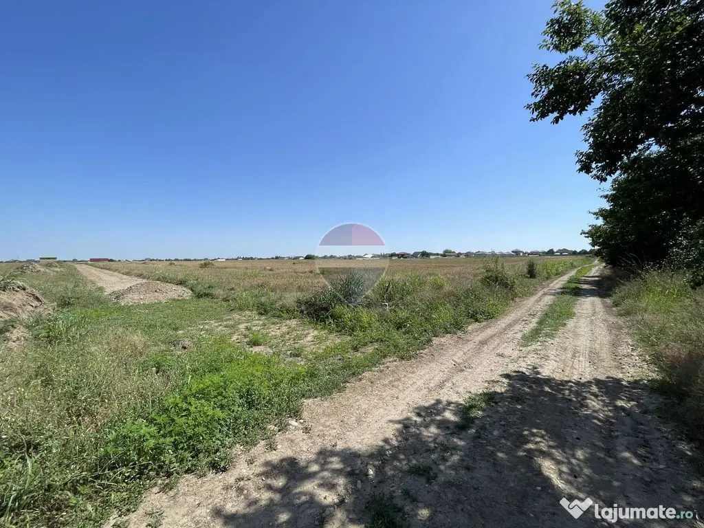 Teren Sabareni, Giurgiu, strada Stejarului, aproape de padure - Sabareni (Giurgiu)