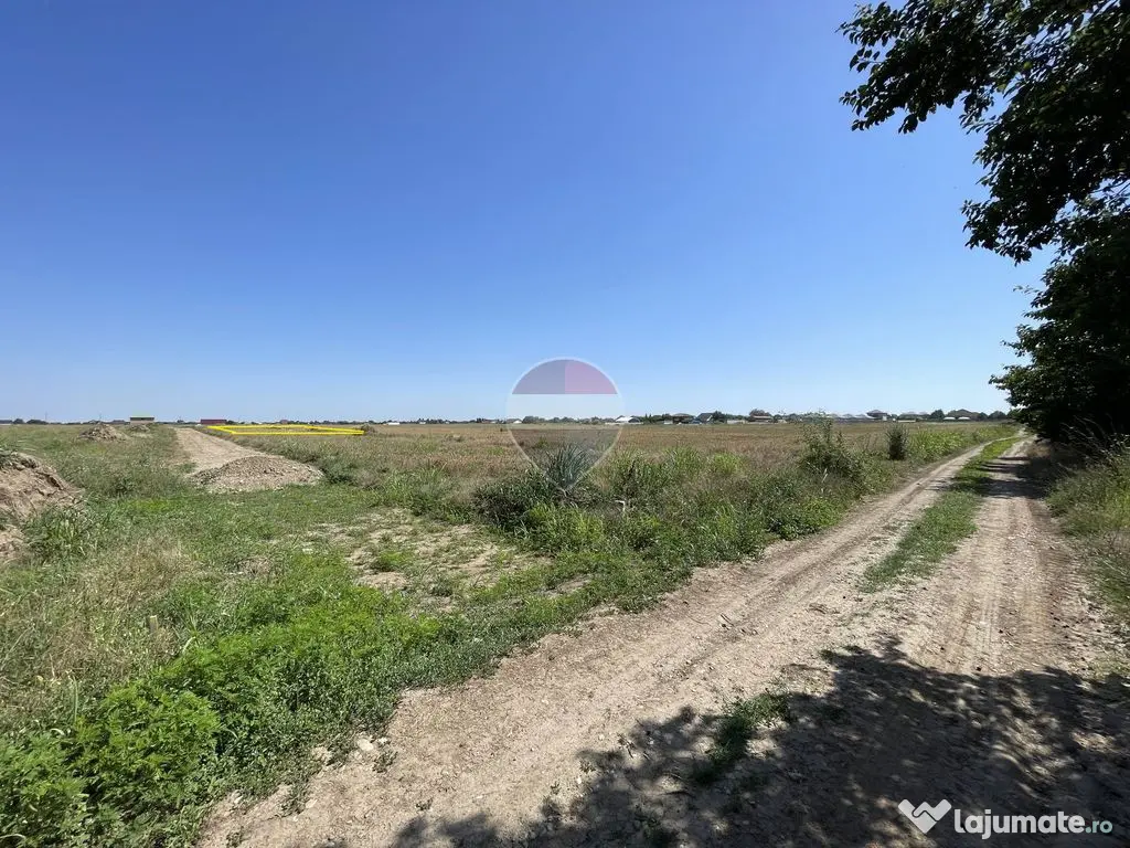 Teren Sabareni, Giurgiu, strada Stejarului, aproape de padure - Sabareni (Giurgiu)