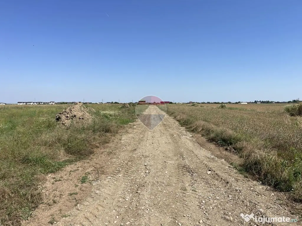 Teren Sabareni, Giurgiu, strada Stejarului, aproape de padure - Sabareni (Giurgiu)