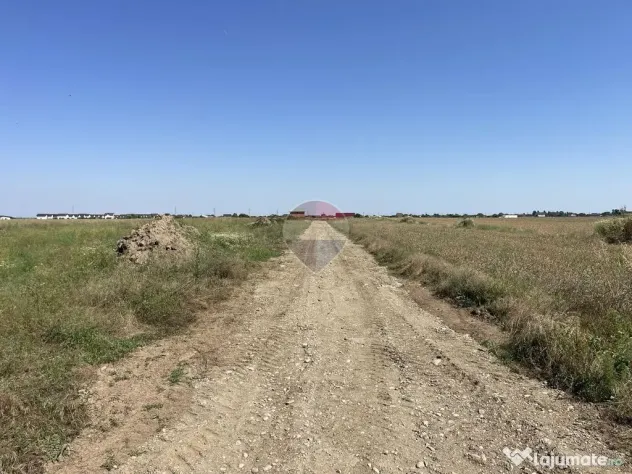 Teren Sabareni, Giurgiu, strada Stejarului, aproape de padure - Sabareni (Giurgiu)